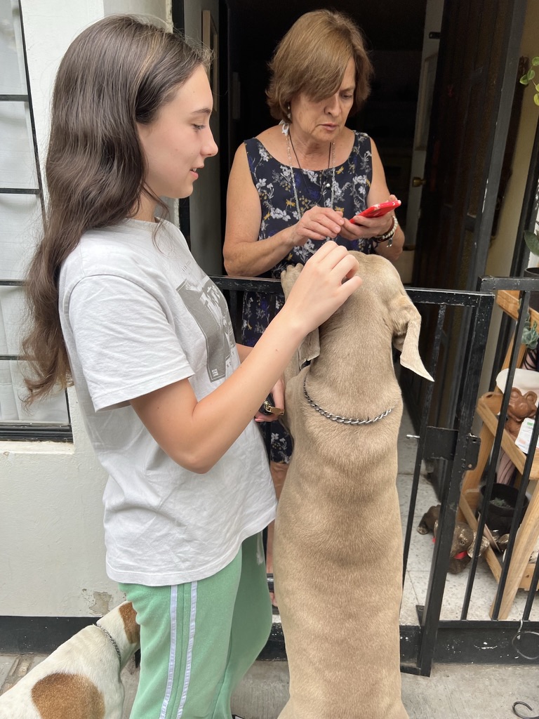 Oaxaca, Mexico — Spanish Language & Cultural Immersion
